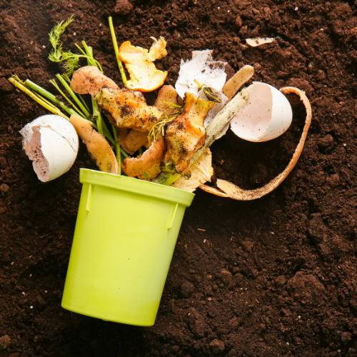 Organic Waste Management